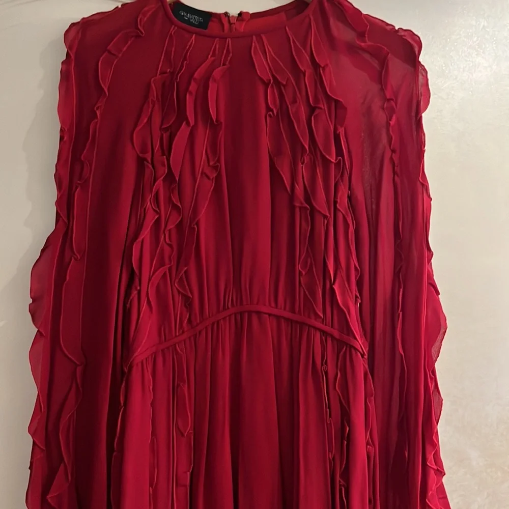 Beautiful Giambattista Vali red ruffle dress - Picture 6 of 10